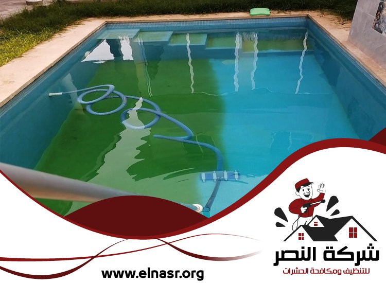 شركة تنظيف مسابح في دبي